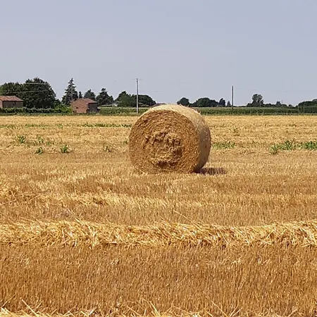 Bauernhof La Fornetta Ferrara