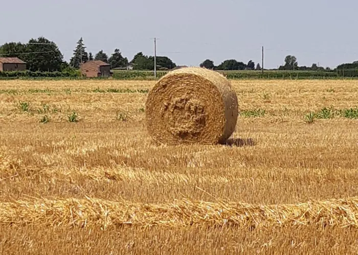 Séjour à la ferme La Fornetta Ferrare